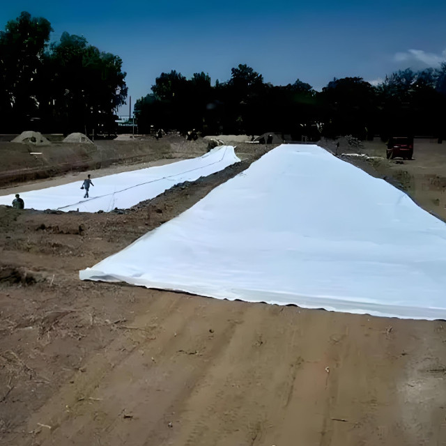 生態修復的“綠色衛士” 土工布在濱海濕地與礦山修復中的應用探析
