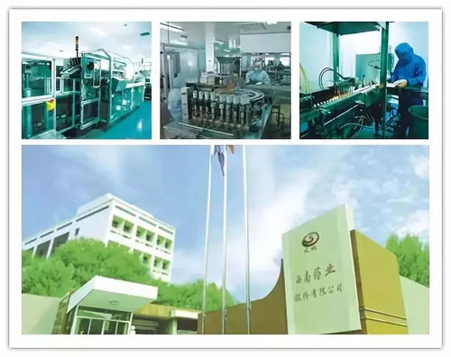 改革開(kāi)放四十年 沙坪壩工業(yè)發(fā)展與網(wǎng)絡(luò)技術(shù)的融合創(chuàng)新